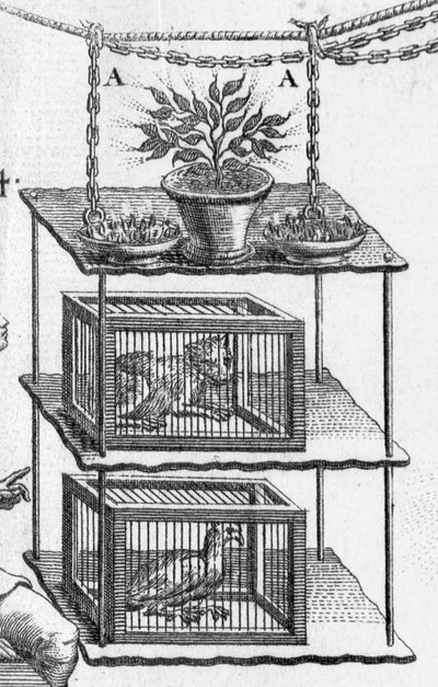 Elektrikle deneme, Abbot Jean Antoine Nollet